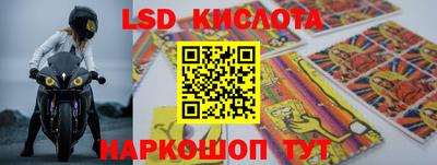 спиды Кингисепп