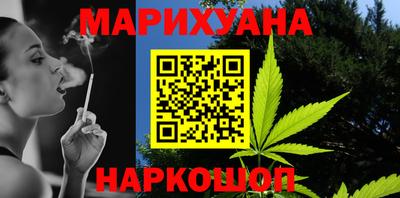спиды Кингисепп
