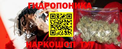 PSILOCYBIN Кимры