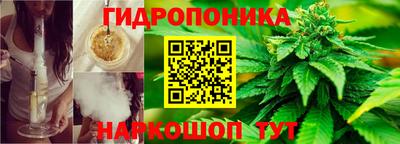 PSILOCYBIN Кимры