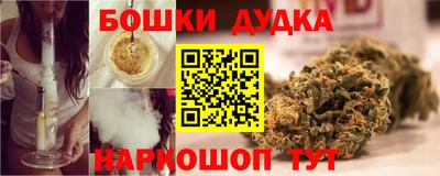 спиды Кингисепп
