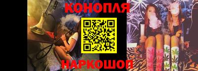 спиды Кингисепп