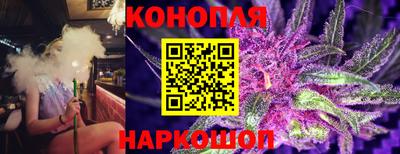 спиды Кингисепп