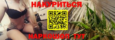 спиды Кингисепп