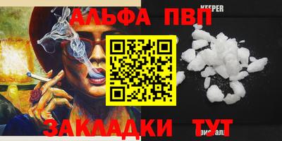 спиды Кингисепп