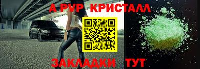 спиды Кингисепп
